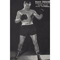Daniel Leullier French Old Boxer Management Pub...