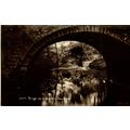 Through The Roman Arch, New Forest, Hampshire, ...