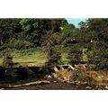 Tarr Steps, Near Winsford, Somerset, Plastichro...