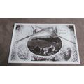 F.T Series real photo Postcard - Kia-Ora, Newto...