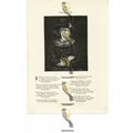 Gwendolen, Romantic Poetry, Book Illustration (...