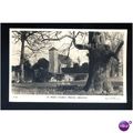 Sussex BRIGHTON Preston Church Postcard (29.190)