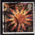 Great Britain 2007 Sea Life 1st Common Sun Star...