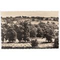 The Cotswolds Stow-on-the-Wold RP Postcard