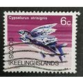 Cocos (Keeling) Islands: 1969 - Wildlife - 6c G...