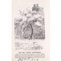 ED 438 GLASTONBURY - THE HOLY THORN. PRINTED PO...