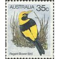 AUSTRALIA, BIRD, Regent Bower Bird, light blue ...