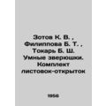 Zotov K. V., Filippova B. T., Tokar B. S. Smart...