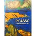 Picasso Landscapes