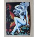 Lady Death All-Chromium Base trading Card # 79 ...
