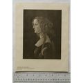 1903 illustration: Portrait by Botticelli