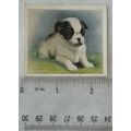 1936 Godfrey Phillips Our Puppies No. 29 The Ja...