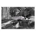pu2339 - Yorks - Lady sits in the Watermill Gar...