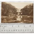 vintage postcard Shooting The Rapids, Killarney