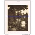Ash Tree Avenue - Jean Hackaert, Book Illustrat...