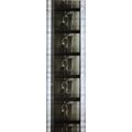 NOTORIOUS. Pk MTP - A011k. 1 STRIP OF 5 - 35MM ...
