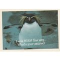 HALLMARK - BORN THIS WAY - POSTCARD :