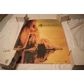 Stevie Nicks Promo Poster-TROUBLE IN SHANGRI-LA