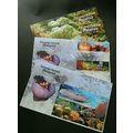 Malaysia Living Corals 2013 Underwater Life Ree...