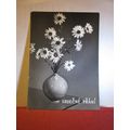 WHITE DAISY FLOWERS unused postcard Czech Repub...