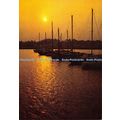 D026676 Homme libre toujours tu cheriras la mer...