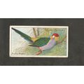 Cigarette Card Players Nature Series 1909 #10 T...