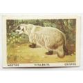 Australian Vitabrits Weeties Animals of World 4...