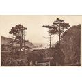 Vintage Sepia Postcard - The Needles from Alum ...