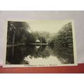 PAMPLEMOUSSES GARCEN, MAURITIUS unused postcard...