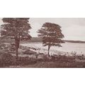 Oxwich Bay Classic Car Black Cab Taxi Processio...