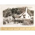 old b/w postcard Selworthy Green