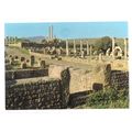 TIMGAD, ALGERIA...Sertius Market vintage unused...