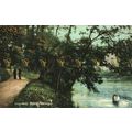 Long Walk, Knaresborough, Yorkshire, 15331 Wren...