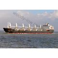 SQ1594 - Maltese Cargo Ship - Alinda - photogra...