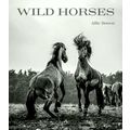Wild Horses by Alfie Bowen