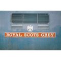 Colour Postcard - Royal Scots Grey Locomotive N...
