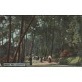 Invalids' Walk, Bournemouth, Hampshire, c.1905-...