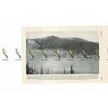 Dawson City, Yukon, Canada, Book Illustration, ...