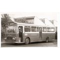 Black & White Photograph of Wilts & Dorset Moto...