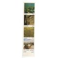 JORDAN card bookmark middle east country =