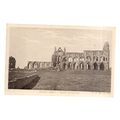 WHITBY ABBEY SOUTH ELEVATION unused postcard ea...
