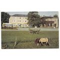 The Chase Hotel Ross-on-Wye Herefordshire Postcard
