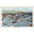 Paignton Harbour Postcard Devon Abbey Series