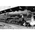 Railway Photograph No. 46151 ROYAL HORSE GUARDS...
