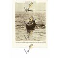 Sinking Of The Emden, Rescue Boats, 1914, Book ...
