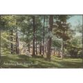 Ambresbury Banks, Epping Forest, Essex, 1908 - ...