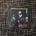 Animal Nightlife – Native Boy (TA3584) 1983 (12...