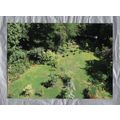 Jeremy`s Garden - Ullet Road - 2011 - Liverpool...