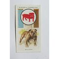 1933 Player's Boy Scout & Girl Guide Patrol Sig...