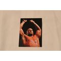 1998 Comic Images WF Superstaz Promo 1